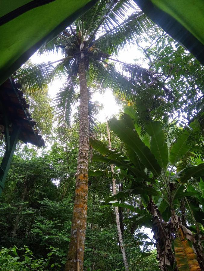 Camping Tropico De Capricornio - Ilhabela Buitenkant foto