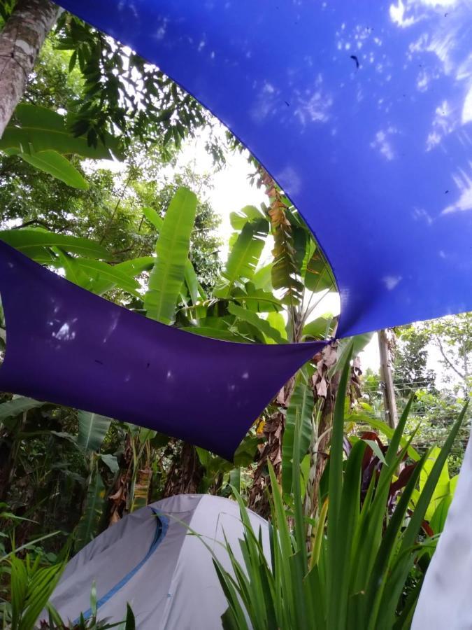 Camping Tropico De Capricornio - Ilhabela Buitenkant foto